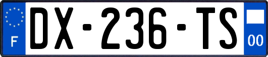 DX-236-TS