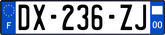 DX-236-ZJ