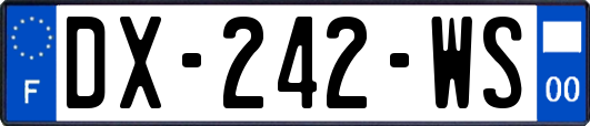 DX-242-WS