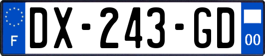 DX-243-GD