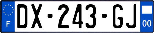 DX-243-GJ
