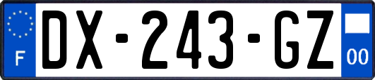 DX-243-GZ