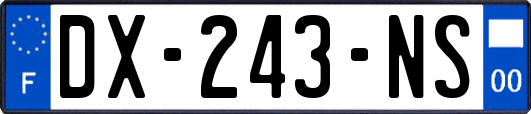 DX-243-NS
