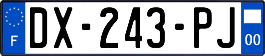 DX-243-PJ