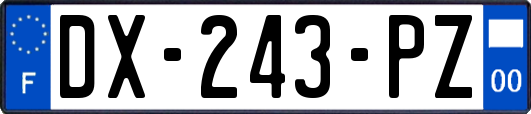DX-243-PZ