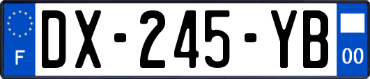 DX-245-YB