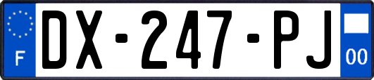 DX-247-PJ