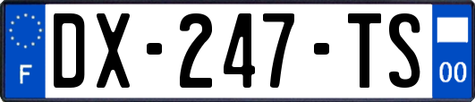 DX-247-TS