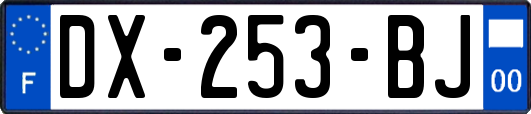 DX-253-BJ