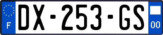 DX-253-GS