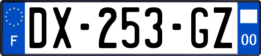 DX-253-GZ