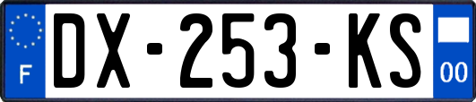 DX-253-KS