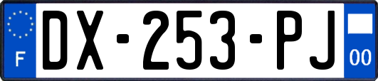 DX-253-PJ