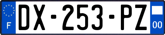 DX-253-PZ
