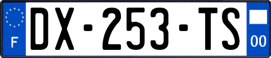 DX-253-TS