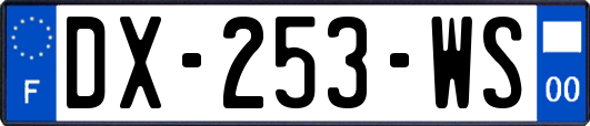 DX-253-WS