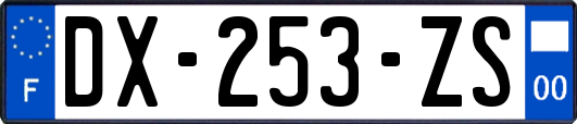 DX-253-ZS