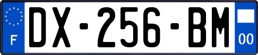 DX-256-BM