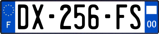 DX-256-FS