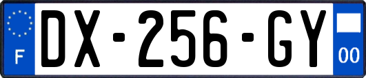 DX-256-GY