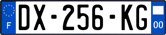 DX-256-KG