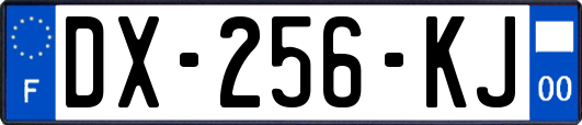 DX-256-KJ