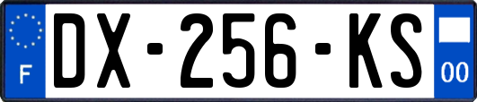 DX-256-KS