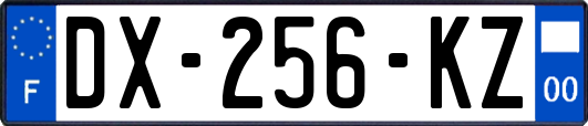 DX-256-KZ