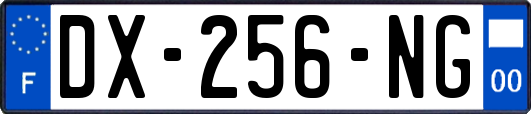 DX-256-NG