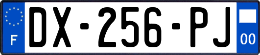 DX-256-PJ