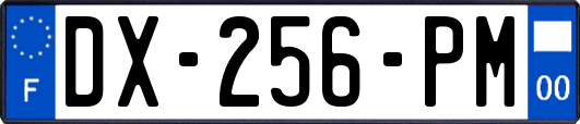 DX-256-PM