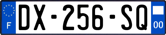 DX-256-SQ
