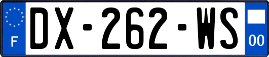 DX-262-WS