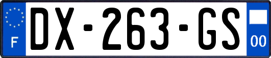 DX-263-GS