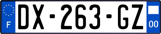 DX-263-GZ