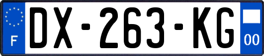 DX-263-KG