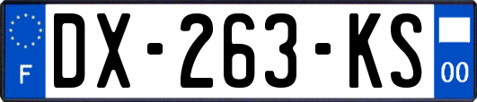 DX-263-KS