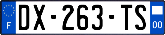 DX-263-TS