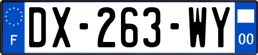 DX-263-WY
