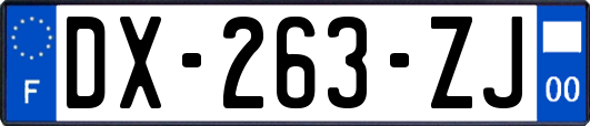 DX-263-ZJ