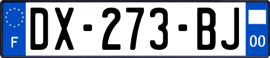 DX-273-BJ