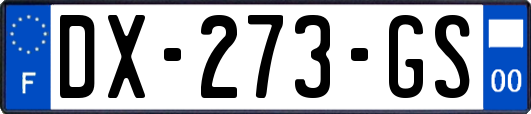 DX-273-GS