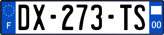 DX-273-TS