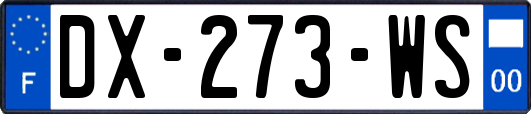 DX-273-WS