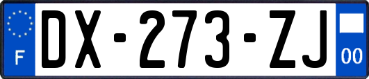 DX-273-ZJ