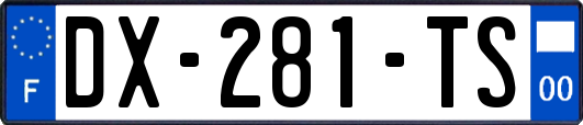 DX-281-TS