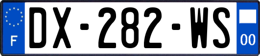 DX-282-WS
