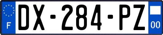 DX-284-PZ