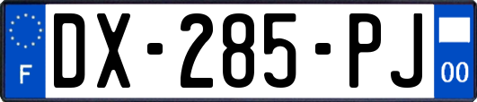 DX-285-PJ