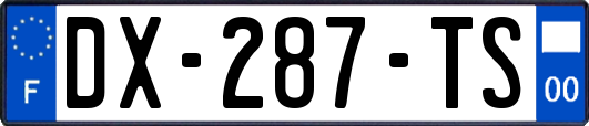 DX-287-TS